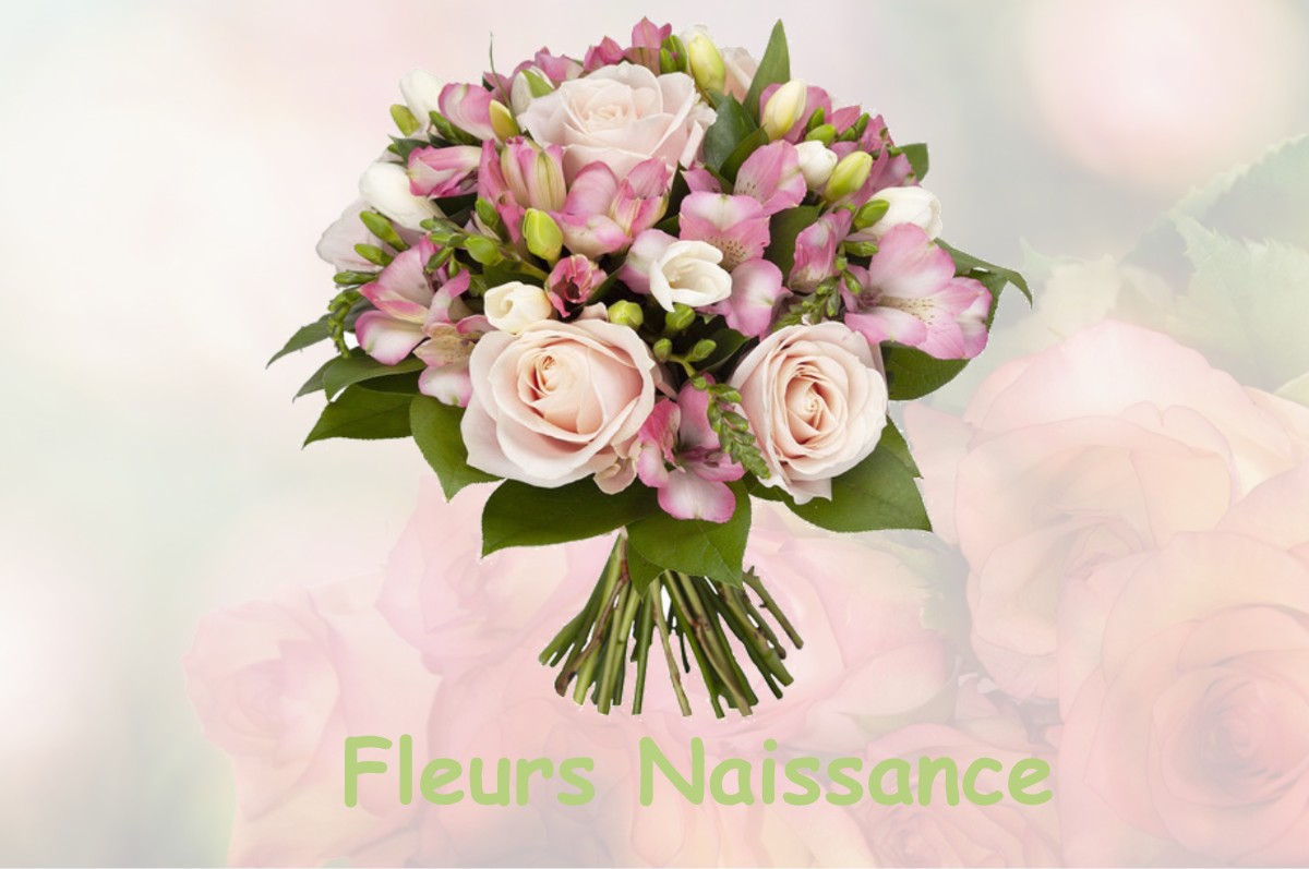 fleurs naissance BLANDIN