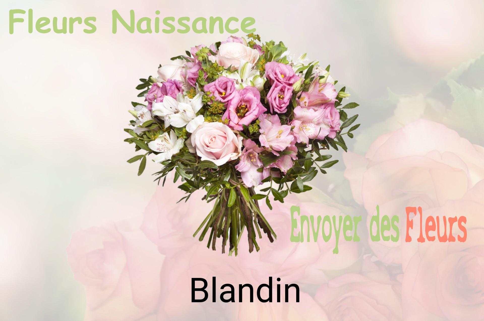 Bouquet de fleurs de naissance livré à Blandin