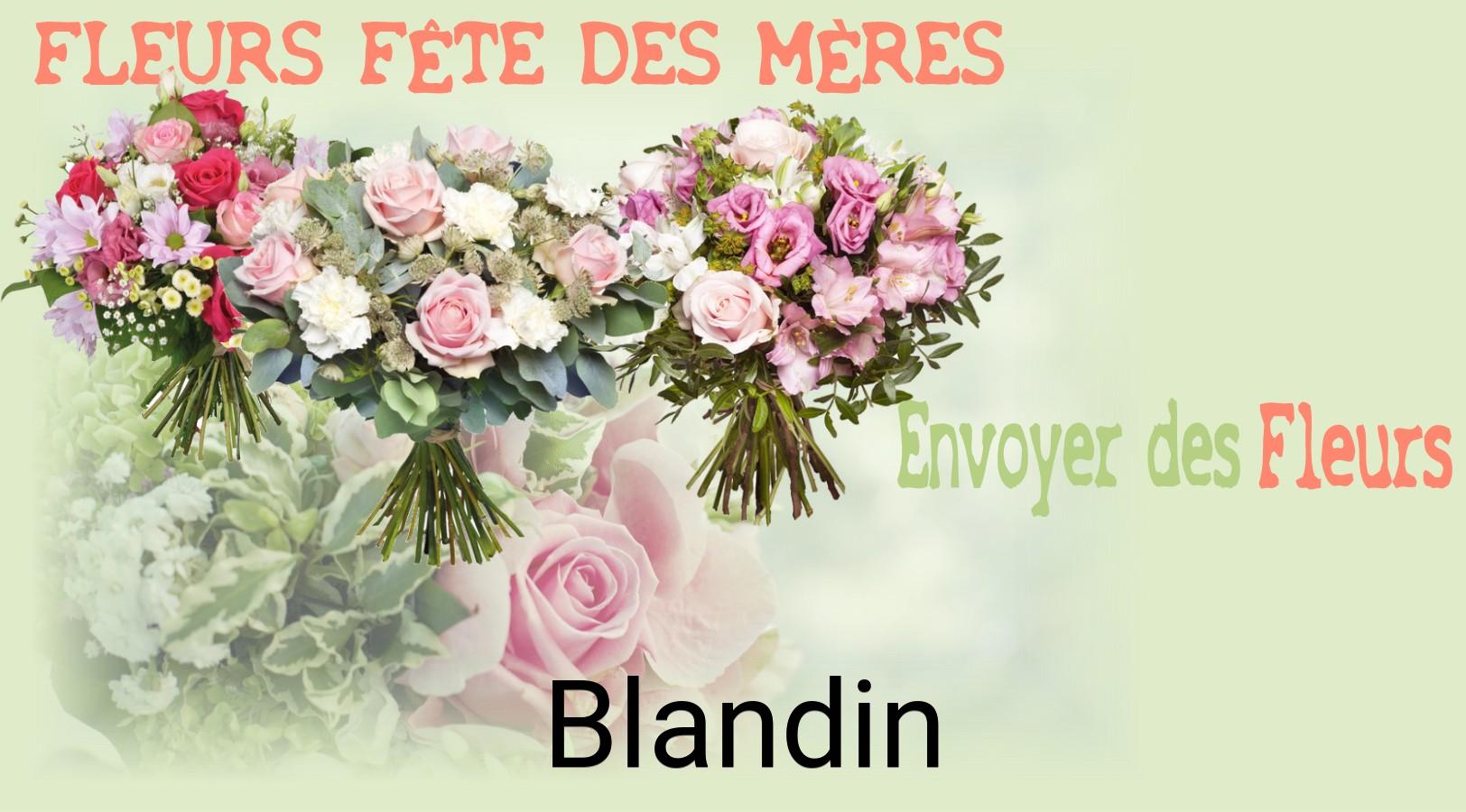 Bouquet de Fête des Mères livré à Blandin